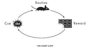 habit loop with mouse